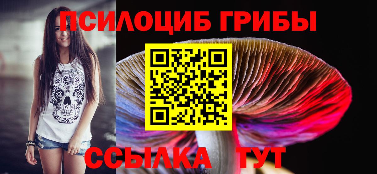 Галлюциногенные грибы MAGIC MUSHROOMS  Вход с VPN  Новодвинск 